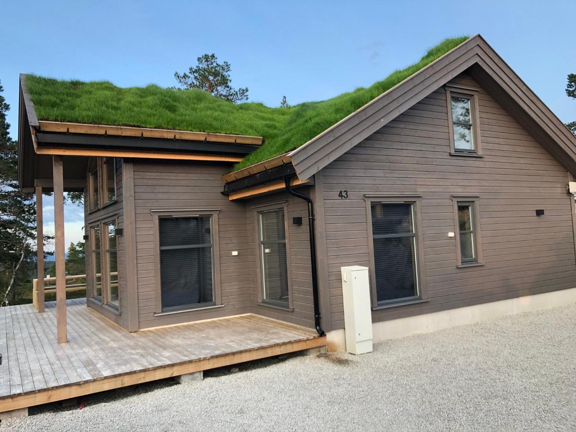 Modern Northern Lights Cabin Drangedal Exterior foto